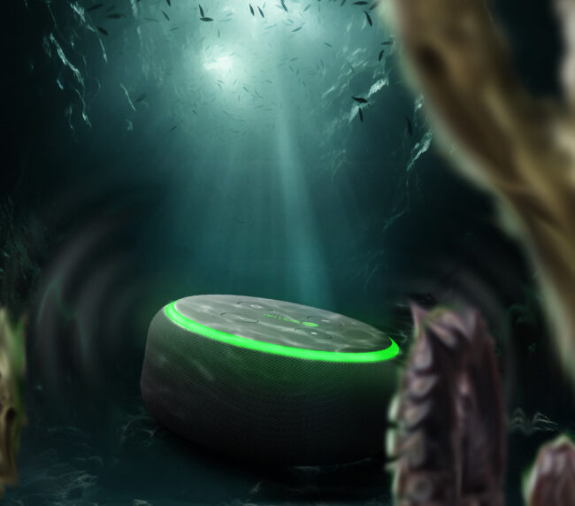 Branding Agency In Calicut