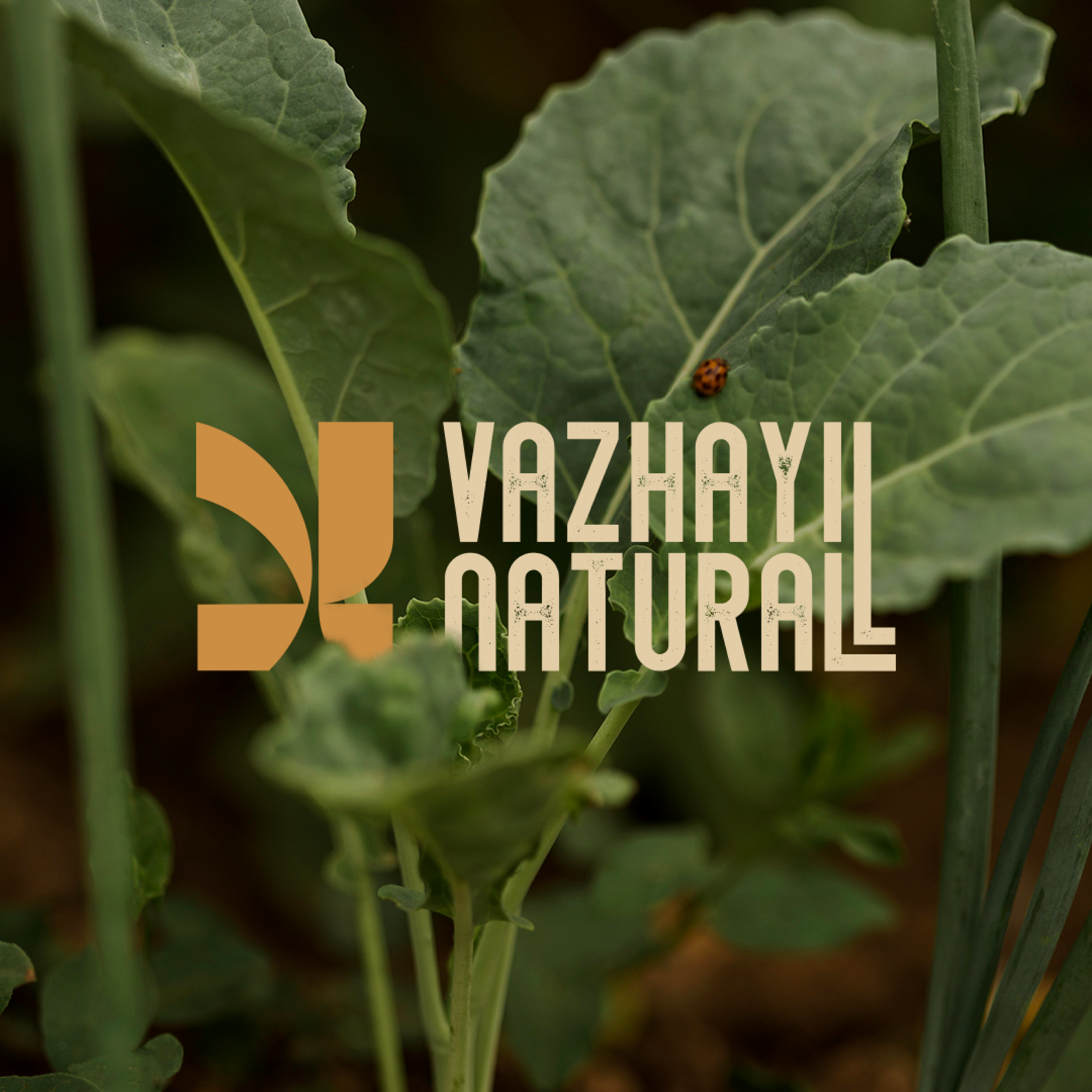 Vazhayil Natural.